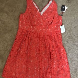 Brand New Adrianna Papell Dress